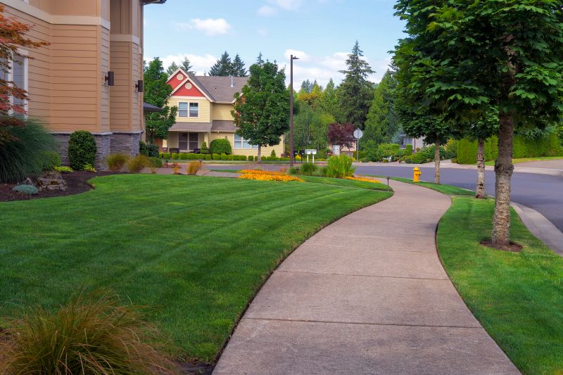 Signs Your Sidewalks, Driveways, Or Patios Need Resurfacing